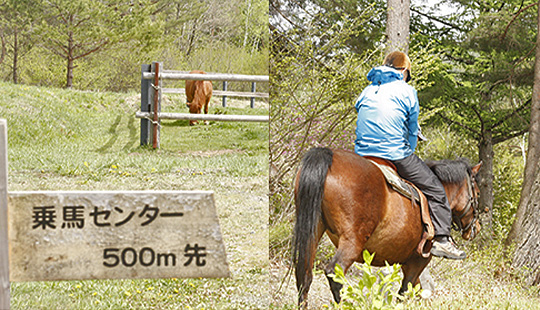 木曽馬の里